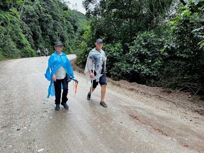 Caminho cercado pela natureza